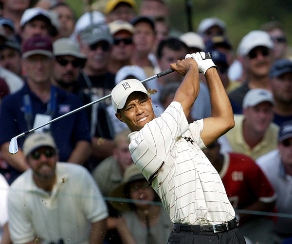 tiger.jpg